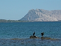 Sardegna 6 2013-041